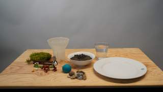 hv_02199.jpg
