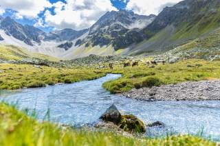 Platztal mit Fluss