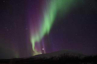 Grüne und violette Nordlichter leuchten am Nachthimmel über einem dunklen, schneebedeckten Hügel mit vereinzelten Bäumen.