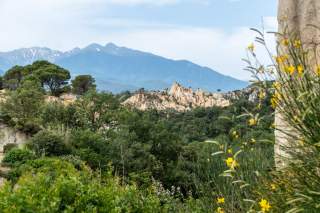 Berglandschaft mit bewaldeten Hügeln, gelben Blumen im Vordergrund und schneebedeckten Gipfeln im Hintergrund unter einem bewölkten Himmel.