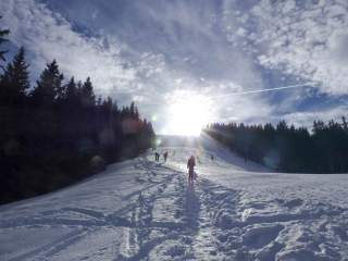 Menschen gehen bei sonnigem Winterwetter einen schneebedeckten Hang hinauf, umgeben von Tannenbäumen.