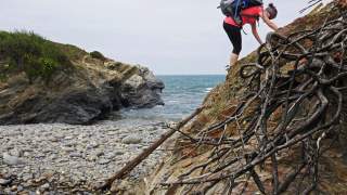 Eine Frau mit Rucksack klettert an einer felsigen Küste mit Wurzeln und Kiesstrand, im Hintergrund ist das Meer sichtbar.