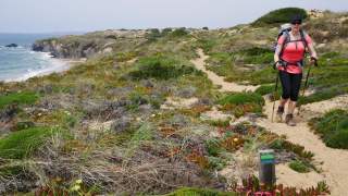 Frau mit Rucksack und Wanderstöcken wandert auf einem sandigen Pfad entlang einer grünen Küstenlandschaft mit Blick auf das Meer.