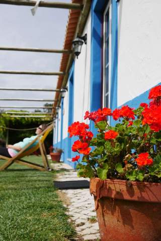 Blühende rote Blumen in einem Terrakottatopf stehen auf einem Gehweg neben einem weiß-blau gestrichenen Haus, im Hintergrund entspannt eine Person im Liegestuhl auf dem Rasen.