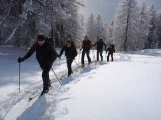 Fünf Personen beim Skitourengehen in einer schneebedeckten Winterlandschaft mit Bäumen im Hintergrund.