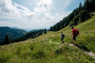 Zwei Wanderer mit Rucksäcken gehen auf einem schmalen Pfad durch eine grüne Berglandschaft unter einem bewölkten Himmel.